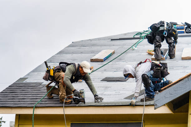 Professional Storm Damage Roof Repair technician working in Bowie, TX